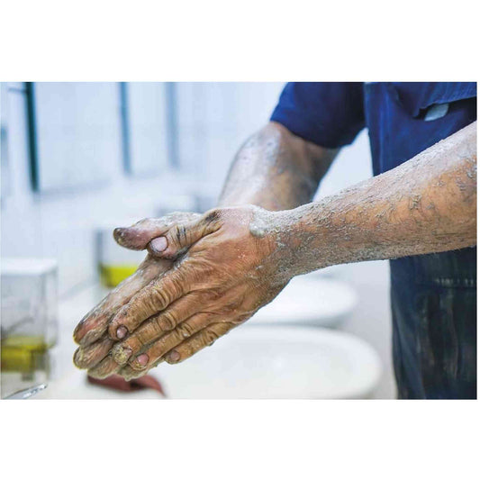 SAVON POUDRE KARZHAN VERT 2KG